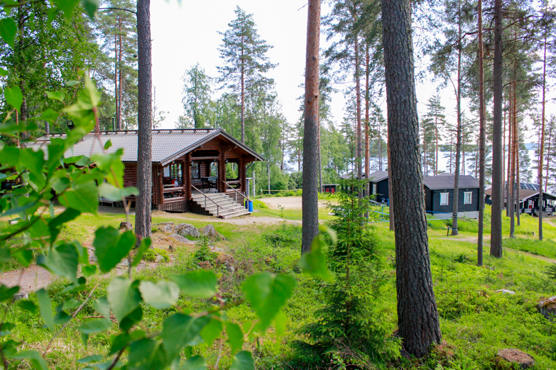 Mäntymetsää ja taustalla hirsirakennuksia seurakunnan leirikeskuksessa Iisaaressa Iisalmessa.