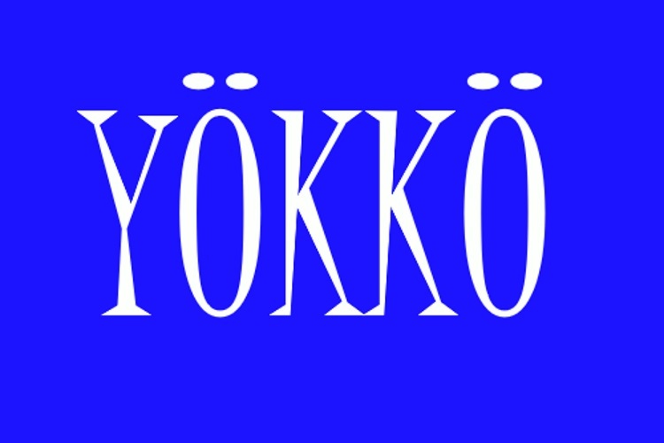 Nuorten Yökkö-leiri Nuorten Yökkö-leiri