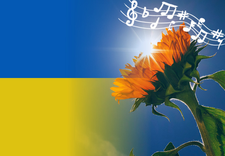 Auringonkukka, liukuvärinä Ukrainan lipun värit.
