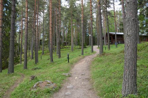 Iisaaren leirikeskuksella oleva rakennus, jonne johtaa polku mäntymetsässä.