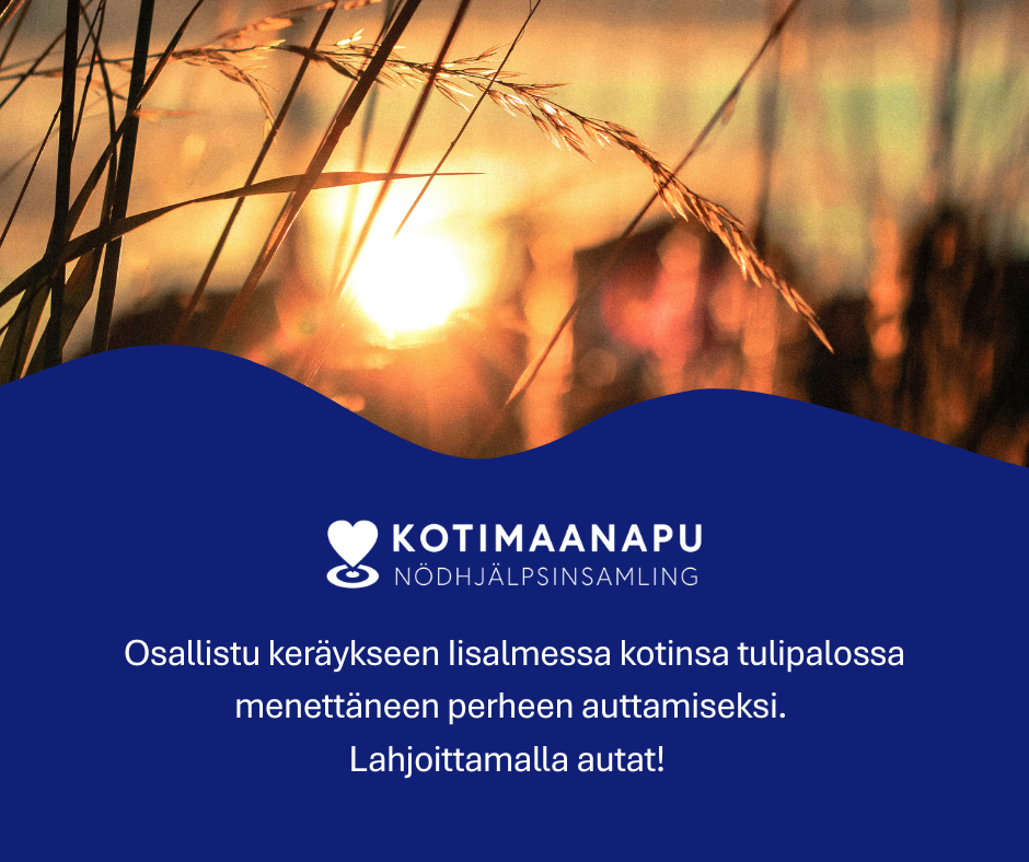 Auringon kajastus heinikossa.