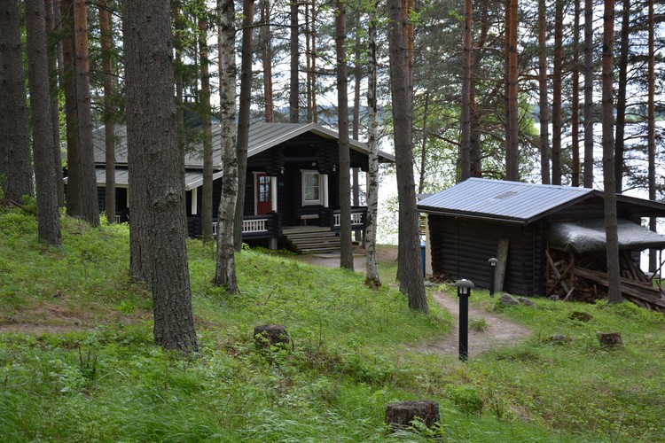 Iisaari