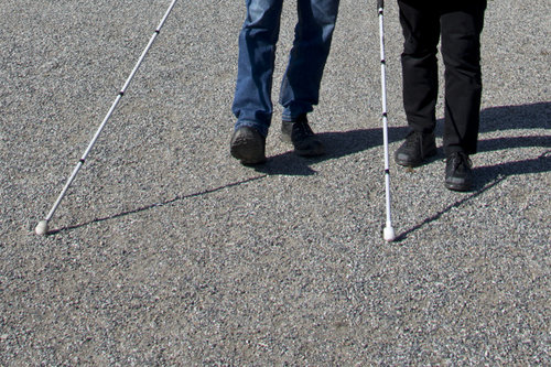 Näkövammaiset kävelemässä valkoisten keppien kanssa.