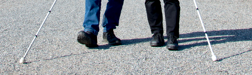 Kaksi näkövammaista kävelee, kuvassa heidän jalat ja kaksi valkoista keppiä.