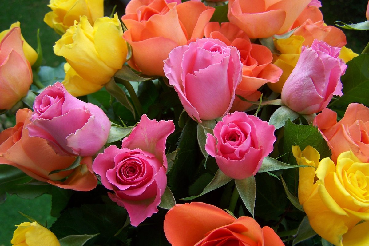 colorful-bouquet-of-roses-949756_1920_L.jpg